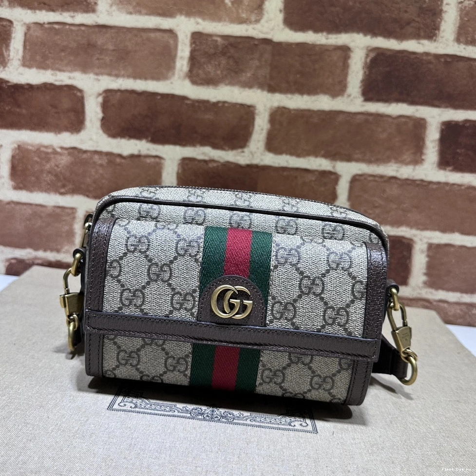 First bag ru bag-20*12.5*9CM Ophidia mini Gucci 0721